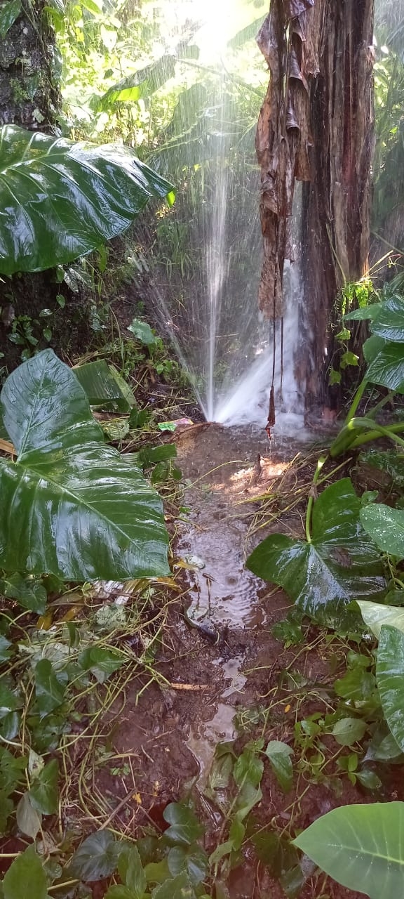 Info berita,Layanan PDAM,Kegiatan PDAM,gangguan layanan pdam,Berita PDAM,PERUMDA AMTS,PERUMDA AMTS Kabupaten Gianyar