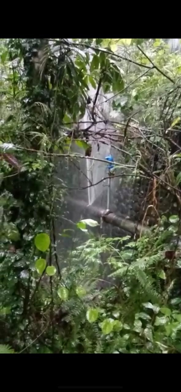 Info berita,Layanan PDAM,Kegiatan PDAM,gangguan layanan pdam,Berita PDAM,PERUMDA AMTS,PERUMDA AMTS Kabupaten Gianyar